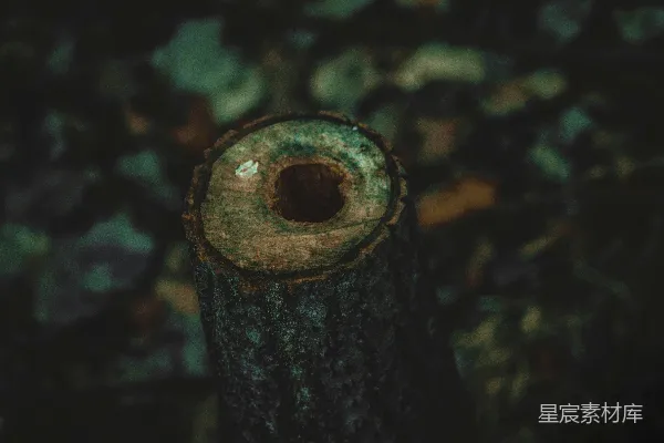 高清摄影 有选择性焦点摄影的木头
