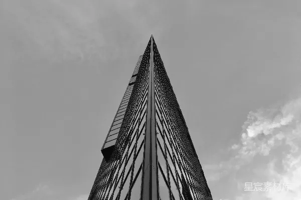 一张黑白照片中的高大建筑物