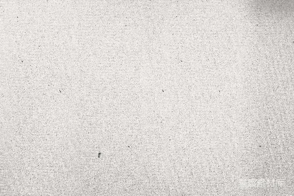 墙上的黑白照片钟