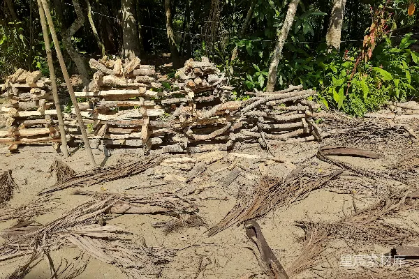 高清摄影 一堆木头堆在沙滩上。