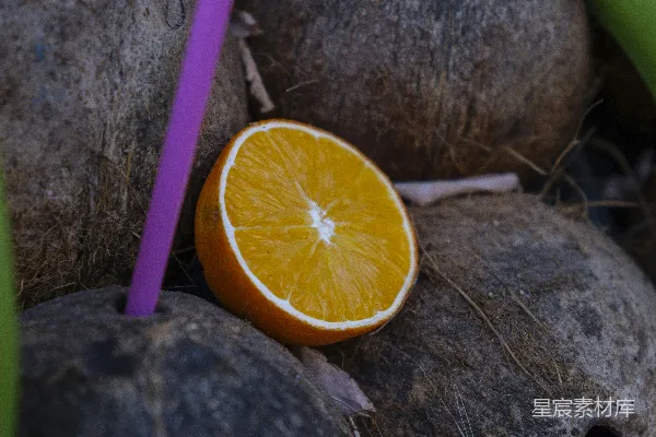 橙子切片配椰子壳中的吸管