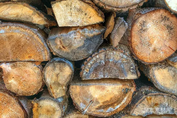 高清摄影 一堆切好的原木堆在一起。