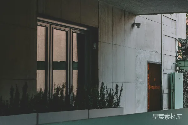 现代建筑外观带有玻璃门和植物的 façade