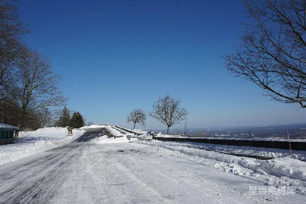 背景中有树木的道路覆盖着白雪。