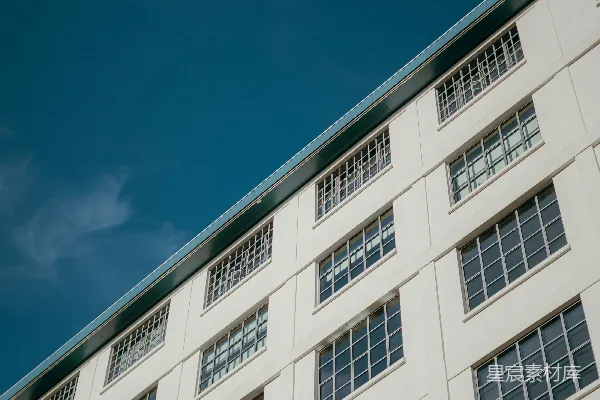 一座高耸的白建筑有许多窗户。
