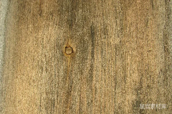 高清摄影 一块带孔的木头