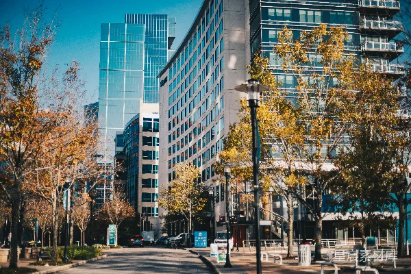 高清摄影 一条两旁是高楼和树木的城市街道