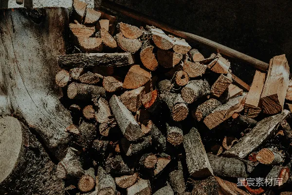 高清摄影 一堆砍下的原木