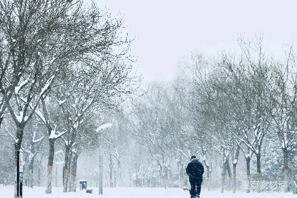 一个人在雪中穿过公园
