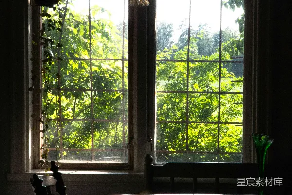 一扇明亮的窗户俯瞰着绿意盎然的景色。