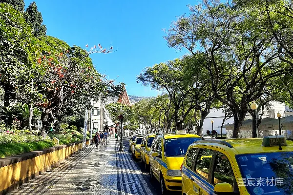 城市街边一排停放的汽车