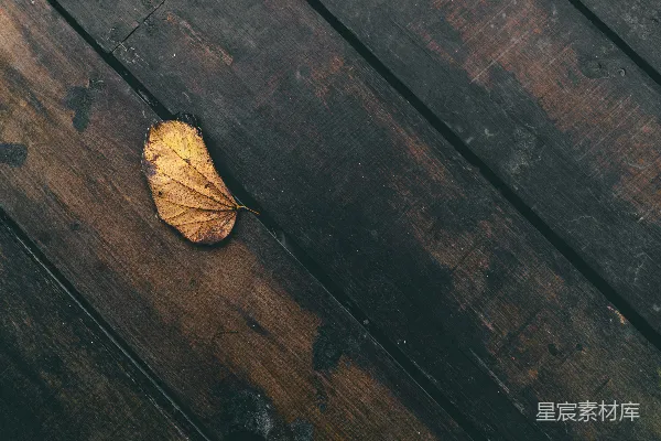 高清摄影 干燥的叶子在木板上