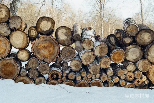 高清摄影 一堆木柴堆在雪地里