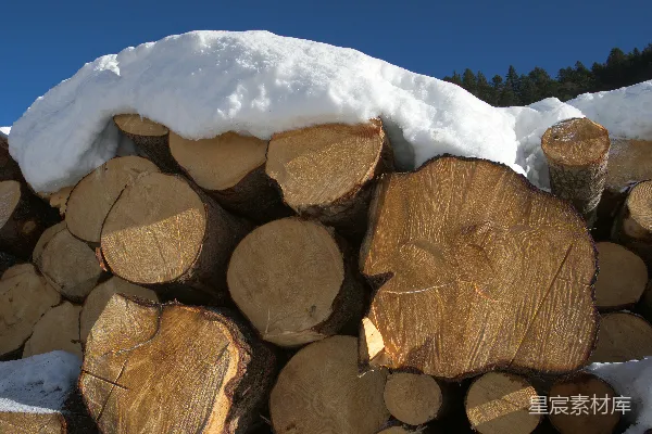 高清摄影 一堆积满雪的原木在蓝天的映衬下。