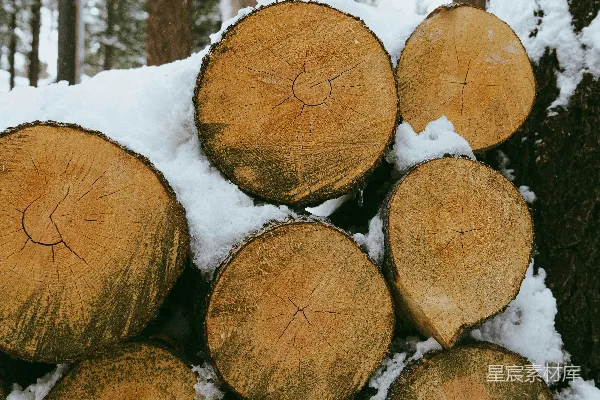 高清摄影 积木被堆放在雪地里的森林里。