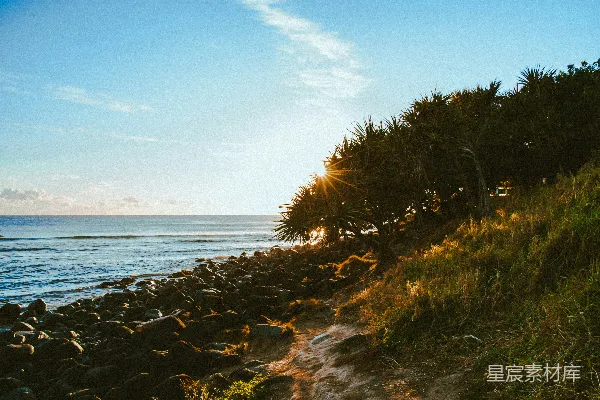 白天近水体的棕色和绿色草地