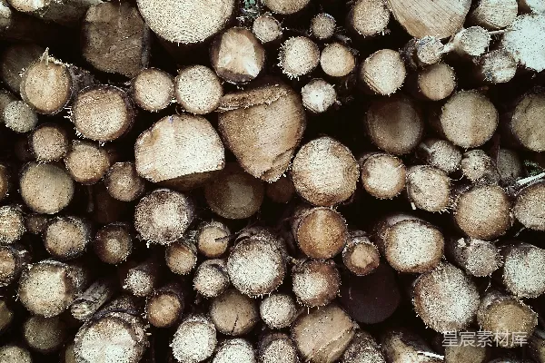 高清摄影 一堆原木