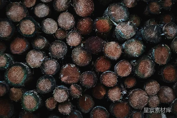 高清摄影 一堆木头原木的特写