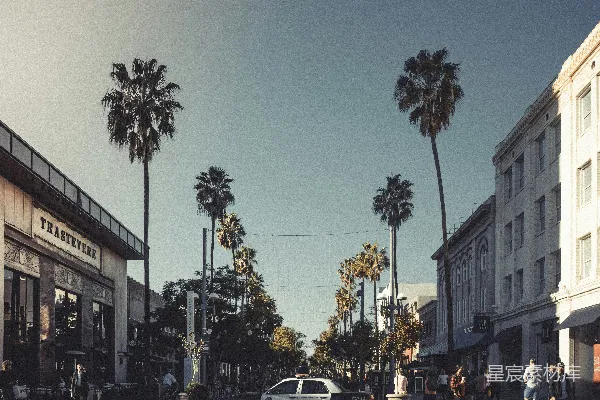 街边建筑物附近白天停放的汽车
