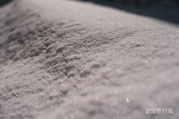 新鲜的闪耀着光泽的白雪覆盖了地面。