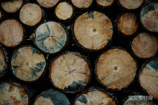 高清摄影 一堆砍伐后的木头叠在一起。