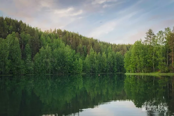 环绕着树木的大片水域
