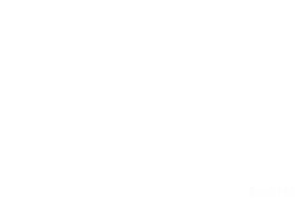 元素素材 PNG