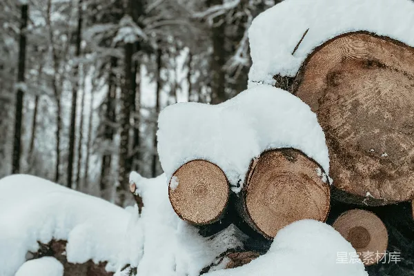 高清摄影 棕色的树桩上覆盖着雪。