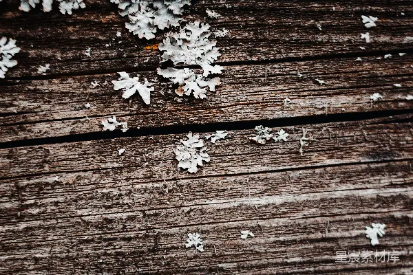 高清摄影 雪花散落在木制表面上。
