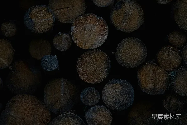 高清摄影 森林中堆放的一堆砍伐的原木。