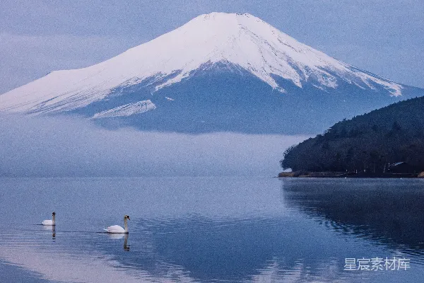 富士山和湖面平静倒映的天鹅。