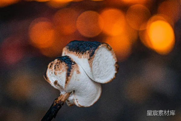 一朵花的特写镜头，背景中有模糊的灯光。