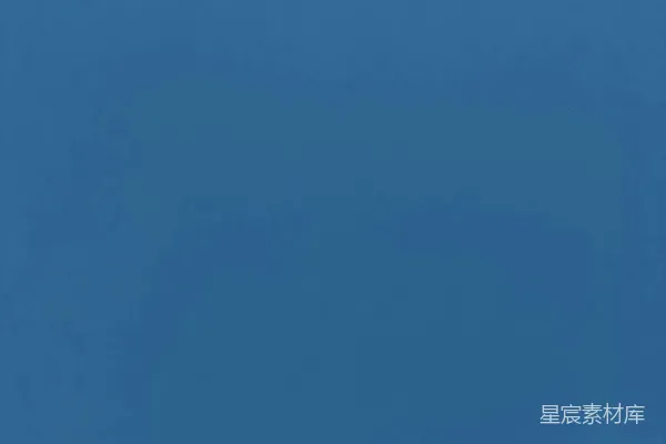 椰子树
