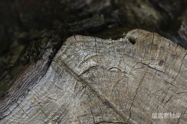 高清摄影 一张木材的特写照片