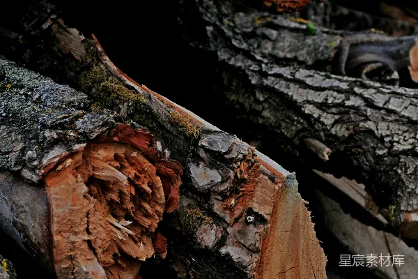 高清摄影 一堆棕色的叶子