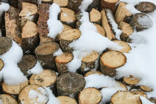 高清摄影 被雪覆盖的柴火堆