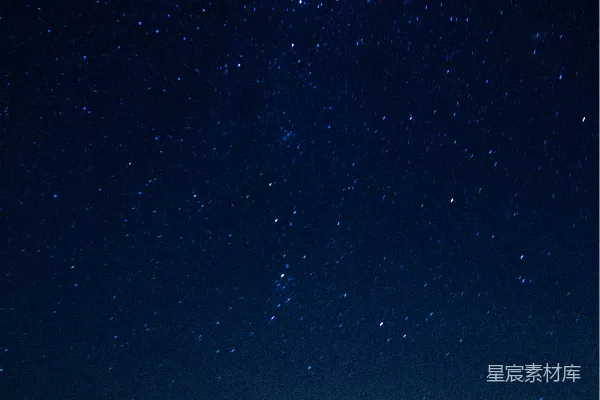 夜间树木