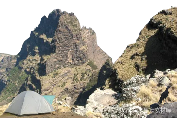 元素素材 山