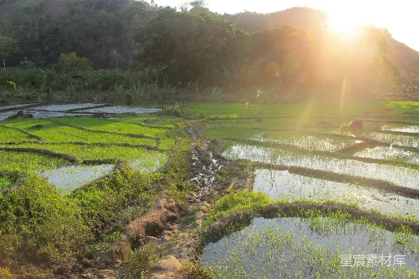 白天河边近处的绿色草地