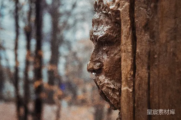 高清摄影 白天的棕色木栅栏