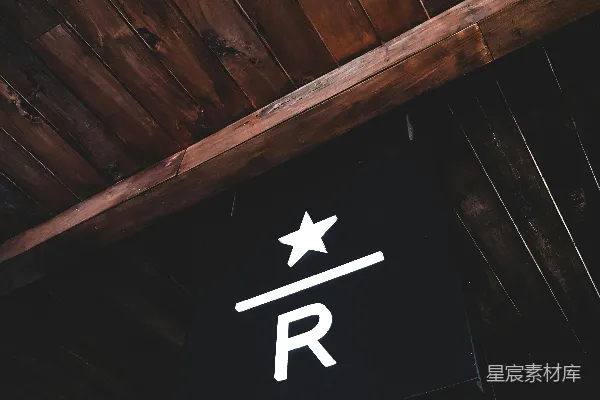 字母R带星徽