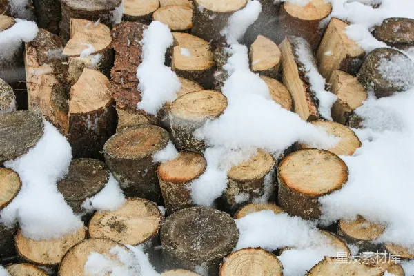 高清摄影 堆在雪中的劈柴
