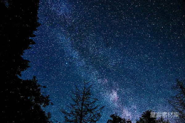 夜幕下树影中的蓝天轮廓