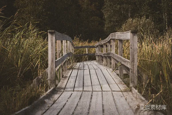 高清摄影 一座木桥横跨河流，周围环绕着高高的草丛。