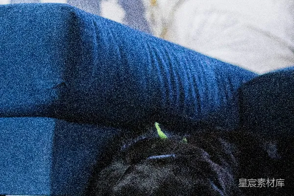 一只黑色的狗躺在沙发上。
