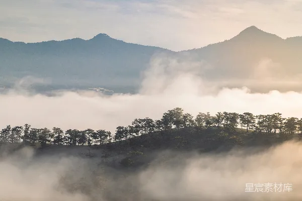 山顶有树的雾气缭绕的山峰