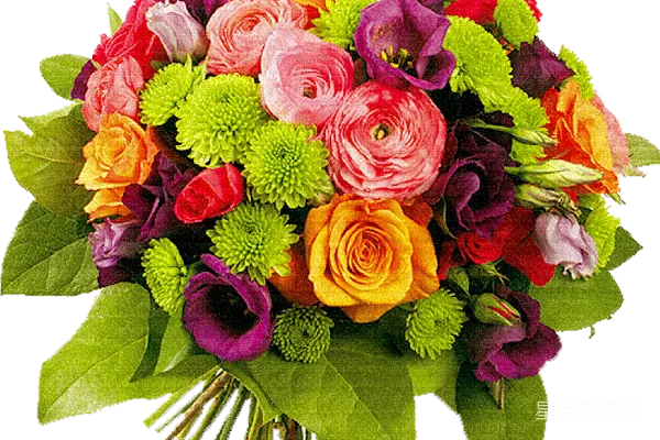 元素素材 花束