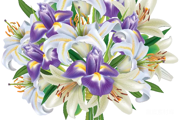 元素素材 花束