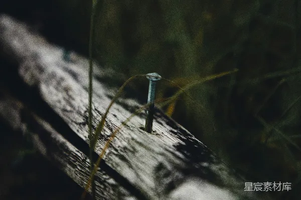高清摄影 浅景深的灰色钢钉照片