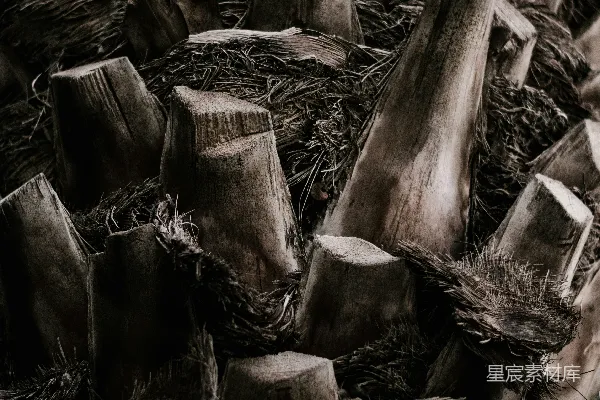 高清摄影 棕色木头脚步画